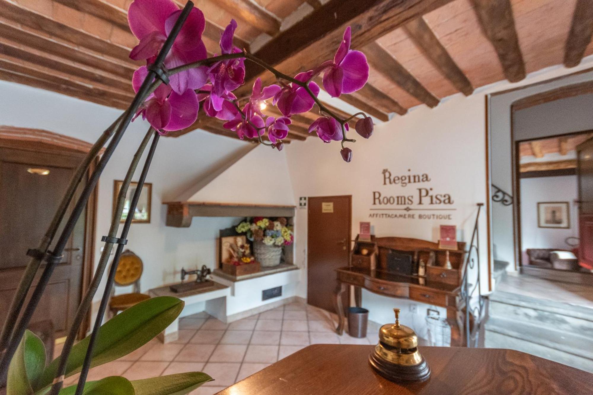 Regina Rooms 比萨 外观 照片
